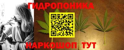 индика Коммунар
