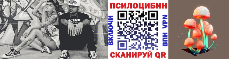 OMG ссылки Вичуга Галлюциногенные грибы MAGIC MUSHROOMS