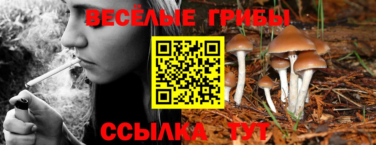 Галлюциногенные грибы мухоморы Вичуга